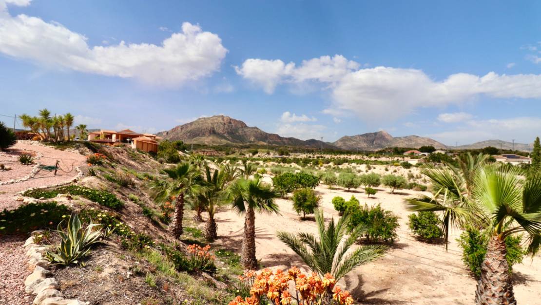 Sale - Villa - Albatera - Albatera Centro