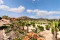 Sale - Villa - Albatera - Albatera Centro