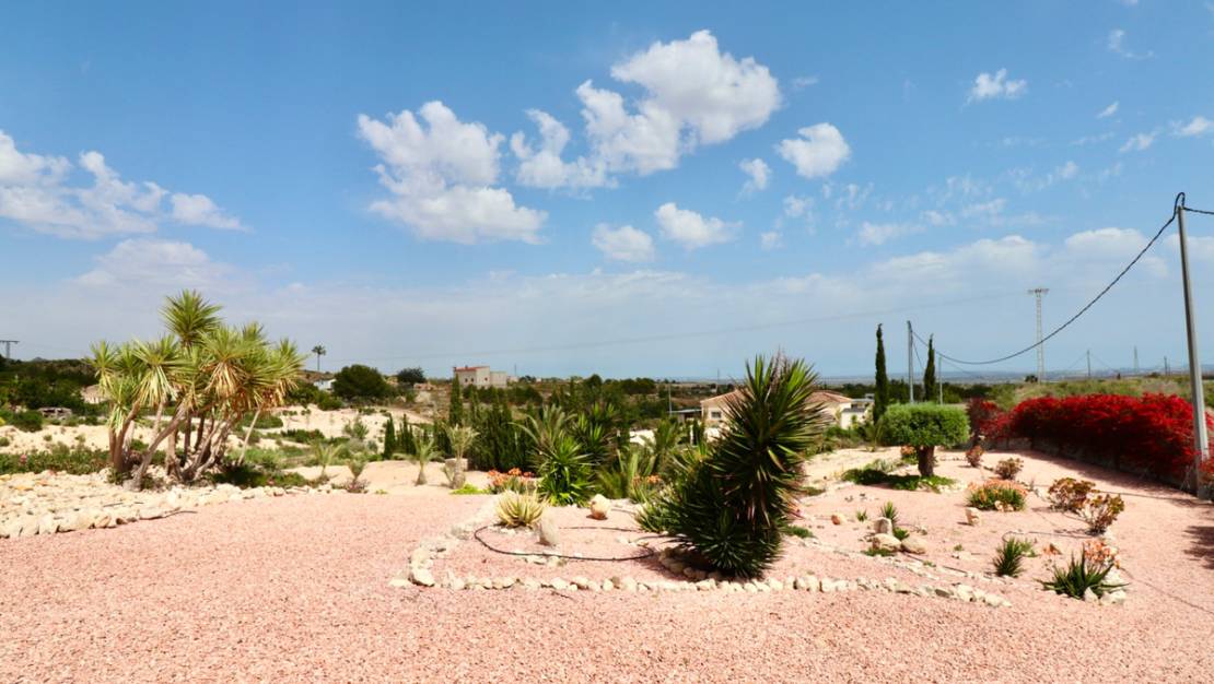 Sale - Villa - Albatera - Albatera Centro
