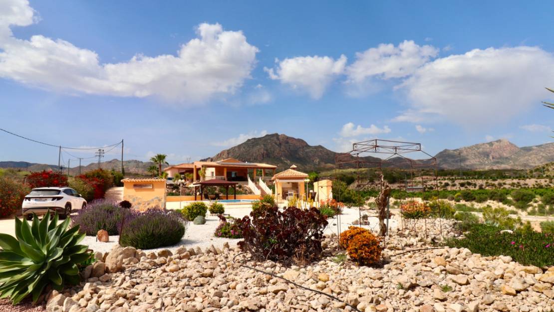 Sale - Villa - Albatera - Albatera Centro