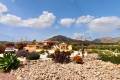 Sale - Villa - Albatera - Albatera Centro
