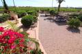 Sale - Villa - Albatera - Albatera Centro