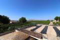 Sale - Villa - Albatera - Albatera Centro