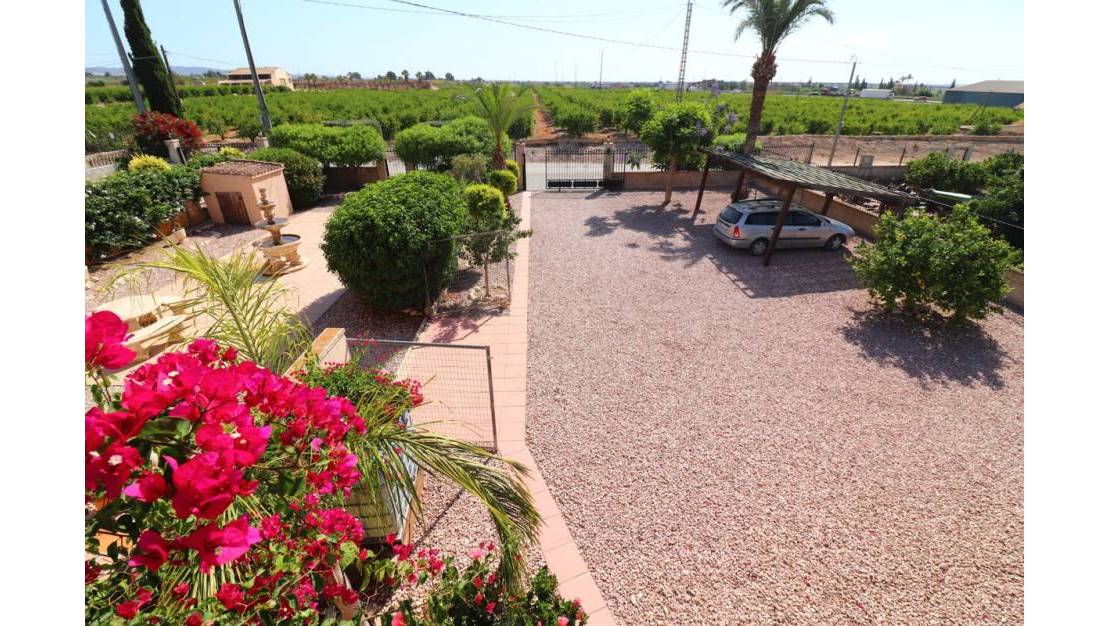 Sale - Villa - Albatera - Albatera Centro