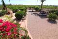 Sale - Villa - Albatera - Albatera Centro