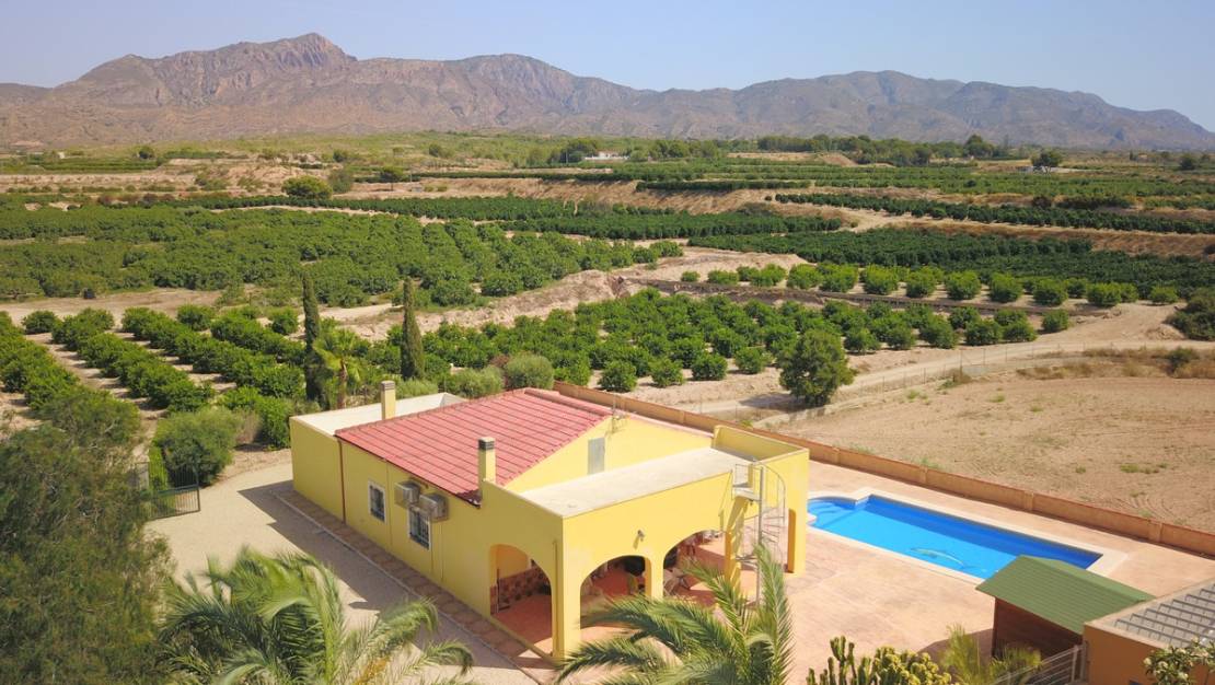 Sale - Villa - Albatera - Albatera Centro
