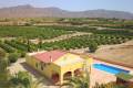 Sale - Villa - Albatera - Albatera Centro