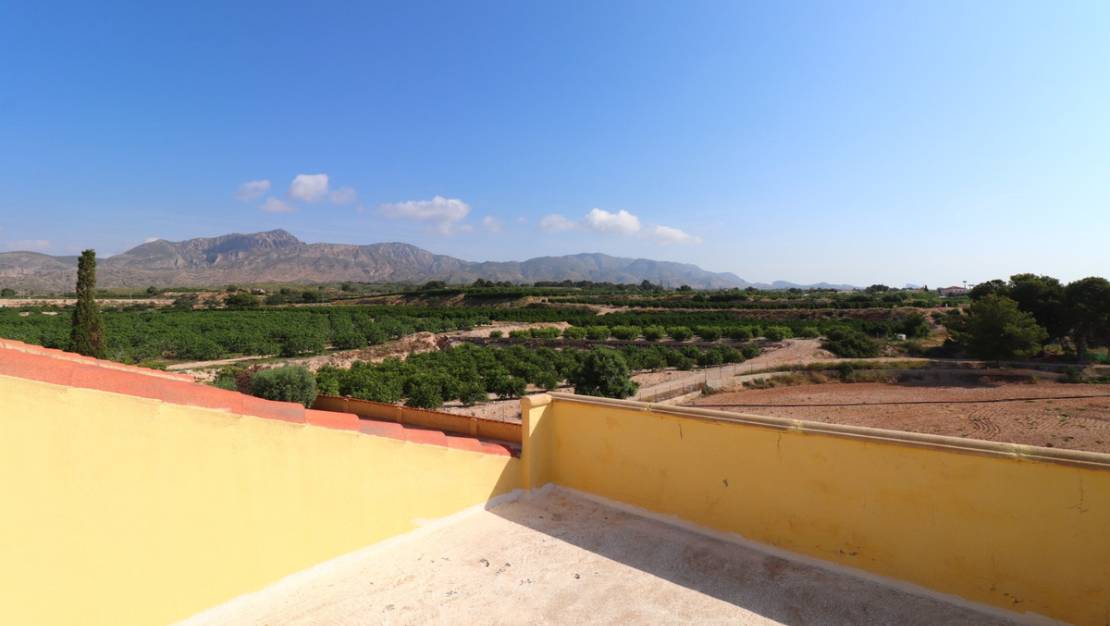 Sale - Villa - Albatera - Albatera Centro