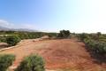 Sale - Villa - Albatera - Albatera Centro