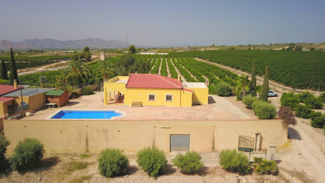 Sale - Villa - Albatera - Albatera Centro