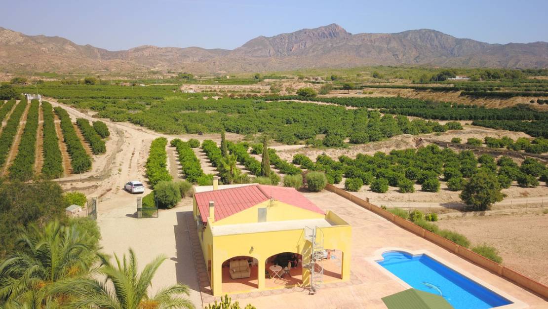 Sale - Villa - Albatera - Albatera Centro