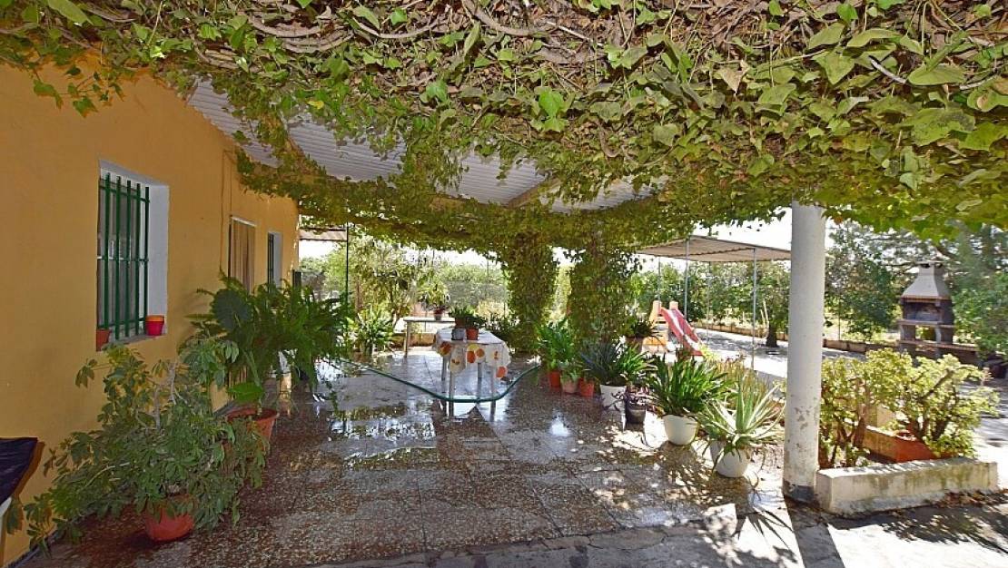 Sale - Villa - Albatera - Albatera Centro