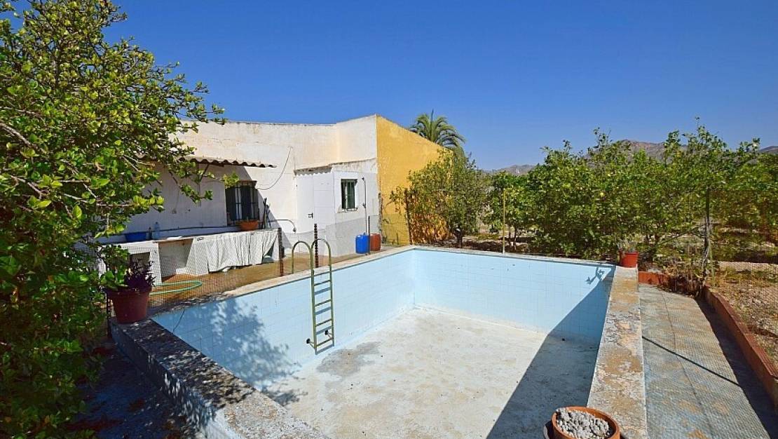 Sale - Villa - Albatera - Albatera Centro