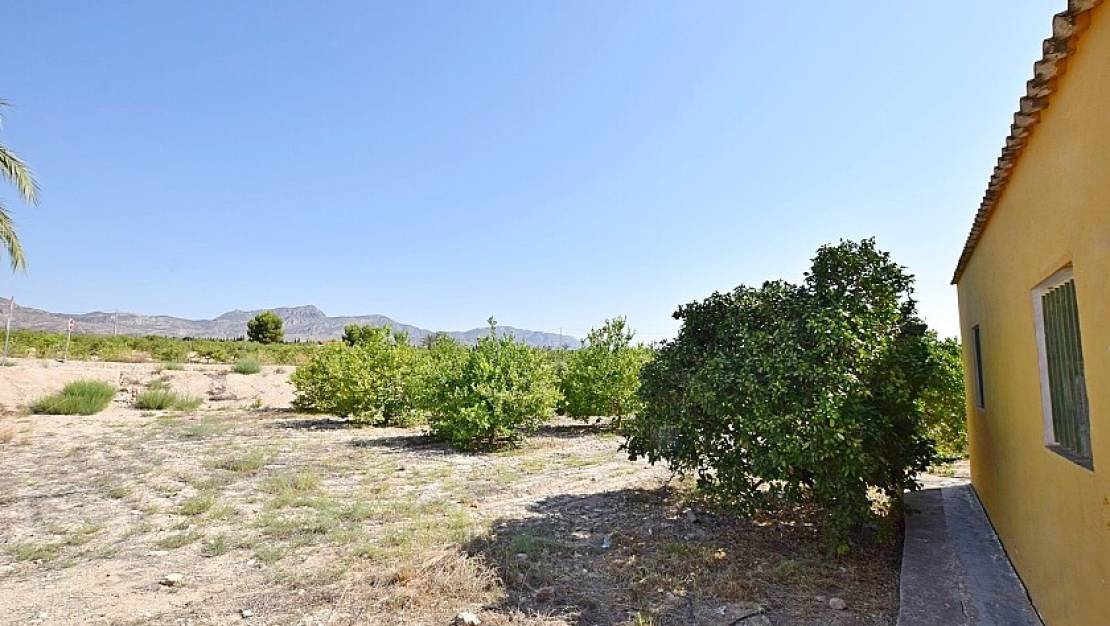 Sale - Villa - Albatera - Albatera Centro