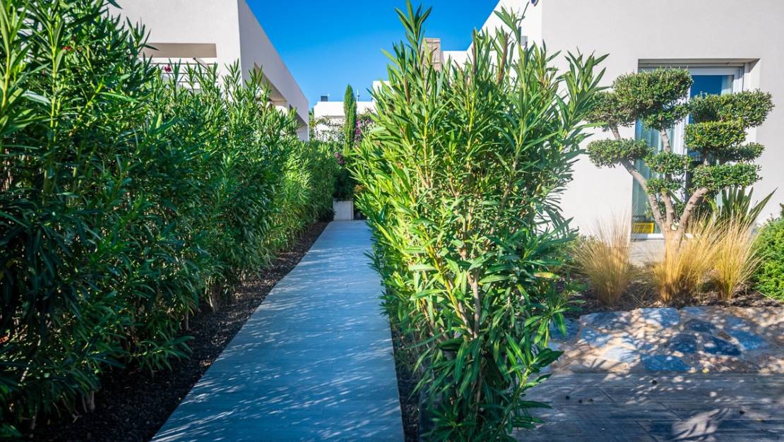 Sale - Villa - Algorfa - Algorfa Centro