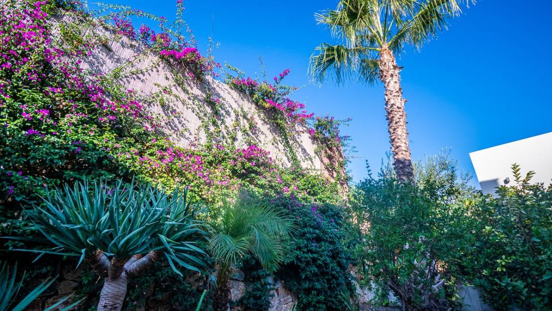 Sale - Villa - Algorfa - Algorfa Centro