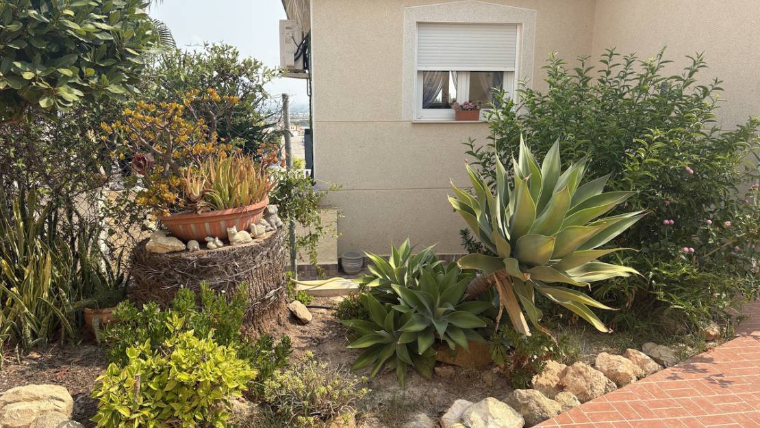 Sale - Villa - Algorfa - Algorfa Centro