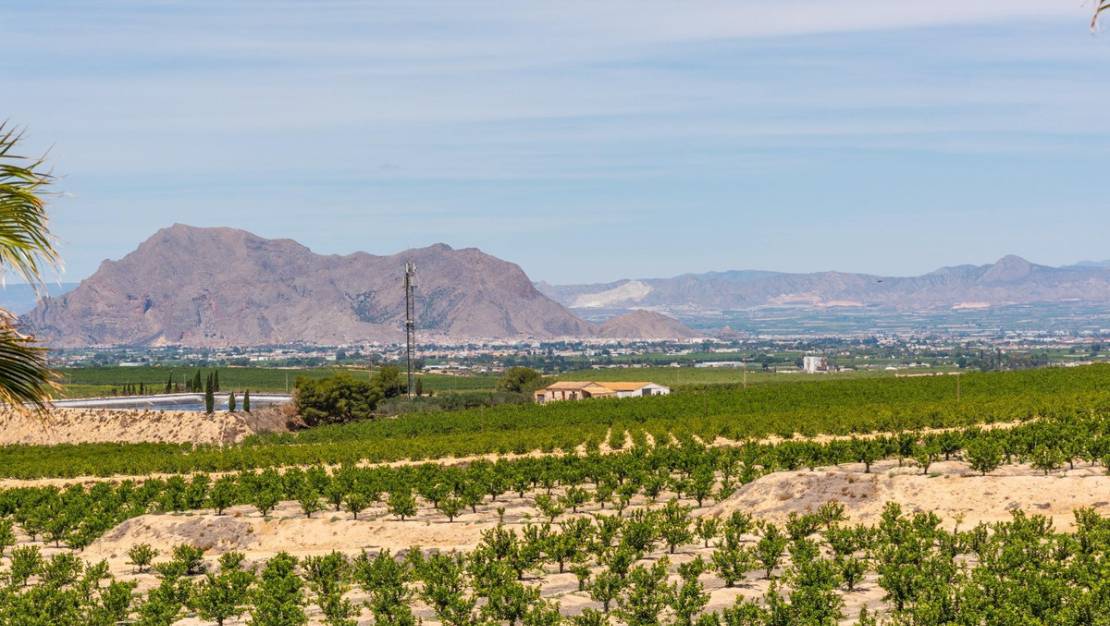 Sale - Villa - Algorfa - Algorfa Centro