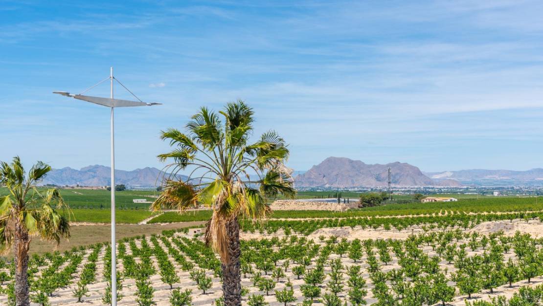 Sale - Villa - Algorfa - Algorfa Centro