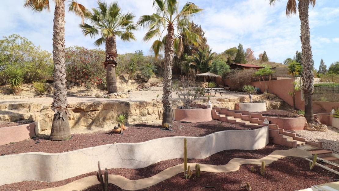 Sale - Villa - Algorfa - Algorfa Centro