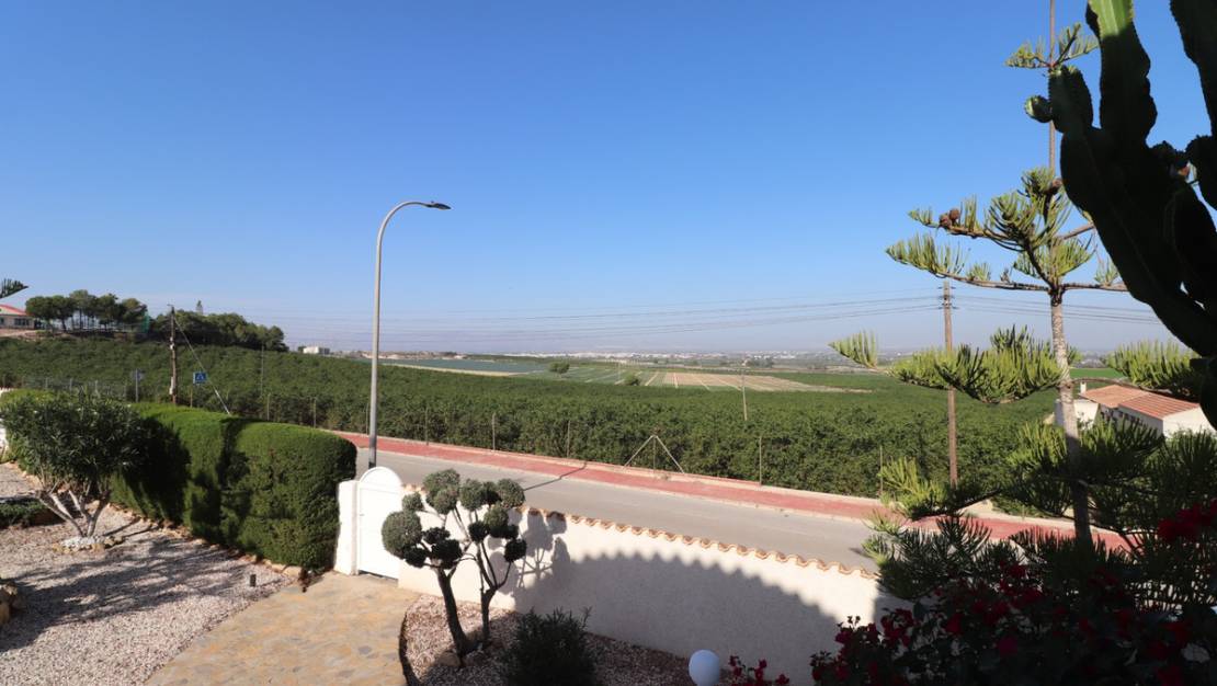 Sale - Villa - Algorfa - Algorfa Centro