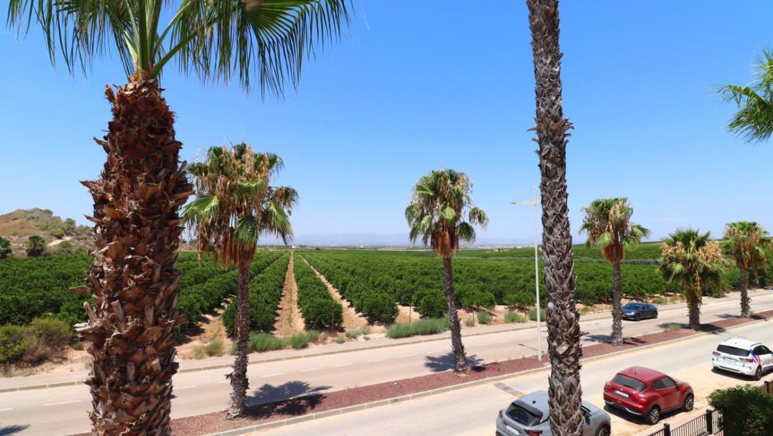 Sale - Villa - Algorfa - Algorfa Centro