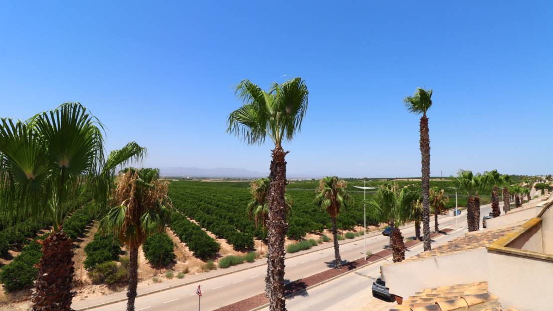 Sale - Villa - Algorfa - Algorfa Centro