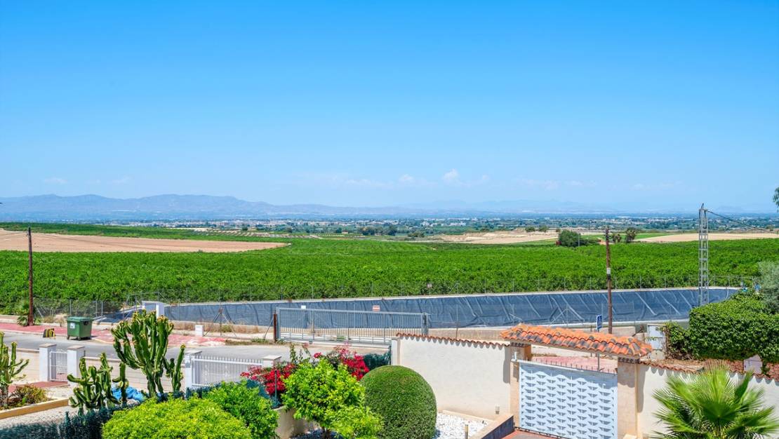 Sale - Villa - Algorfa - Algorfa Centro