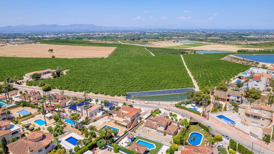 Sale - Villa - Algorfa - Algorfa Centro