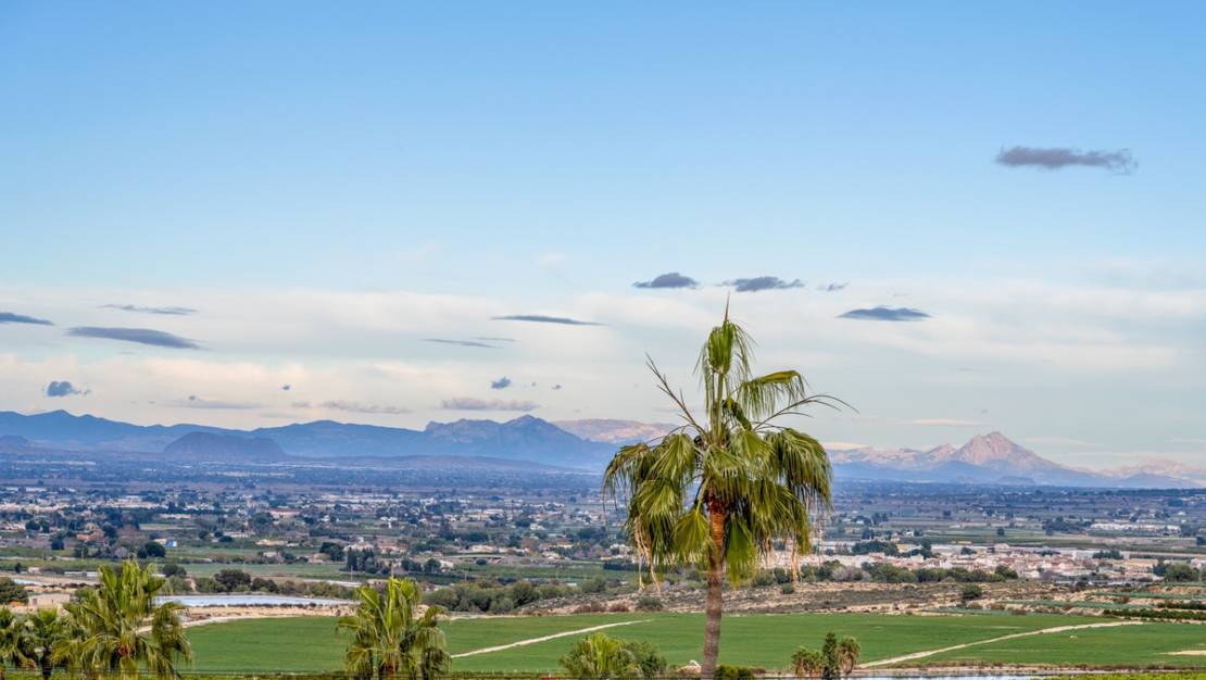 Sale - Villa - Algorfa - Algorfa Centro