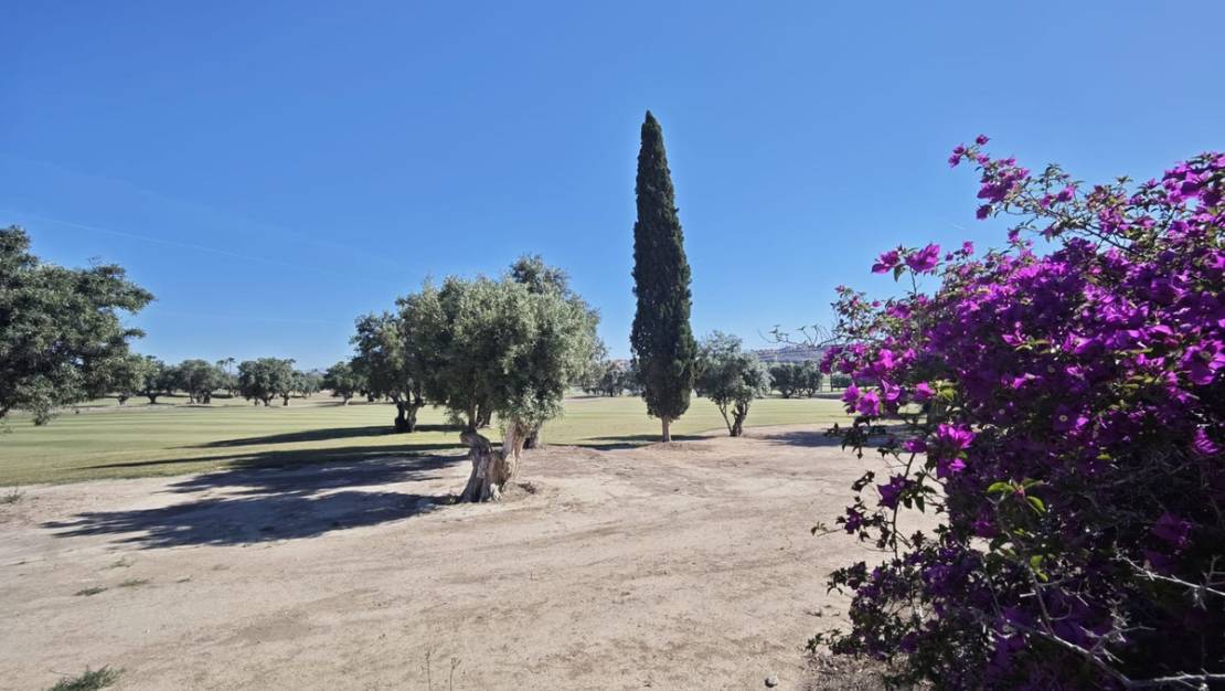 Sale - Villa - Algorfa - Algorfa Centro