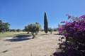 Sale - Villa - Algorfa - Algorfa Centro