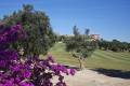 Sale - Villa - Algorfa - Algorfa Centro