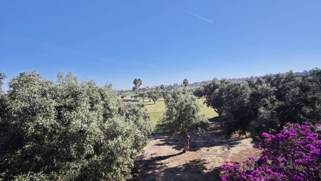 Sale - Villa - Algorfa - Algorfa Centro