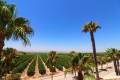 Sale - Villa - Algorfa - Algorfa Centro