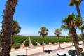 Sale - Villa - Algorfa - Algorfa Centro