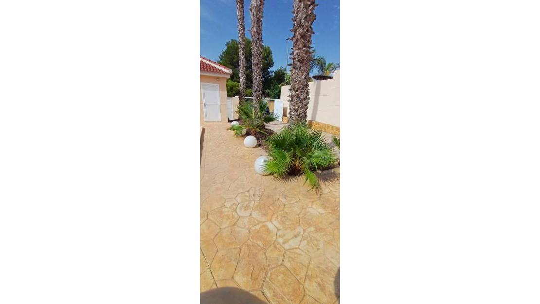 Sale - Villa - Algorfa - Algorfa Centro