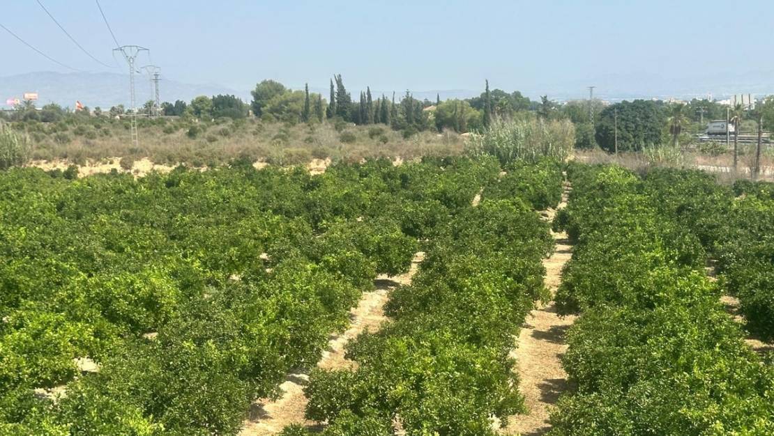 Sale - Villa - Algorfa - Algorfa Centro