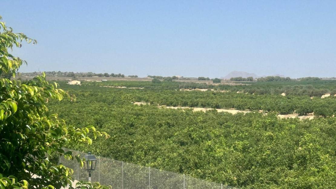 Sale - Villa - Algorfa - Algorfa Centro