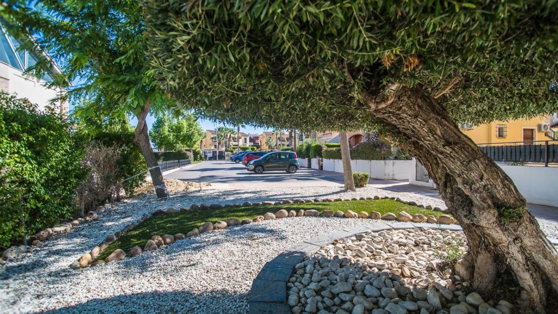 Sale - Villa - Algorfa - Algorfa Centro