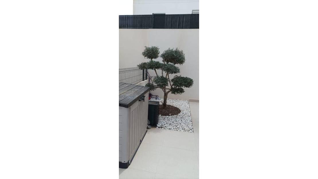 Sale - Villa - Algorfa - La finca golf