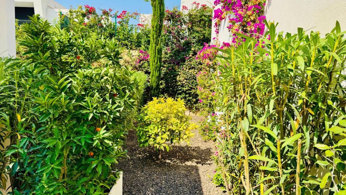 Sale - Villa - Algorfa - La finca golf