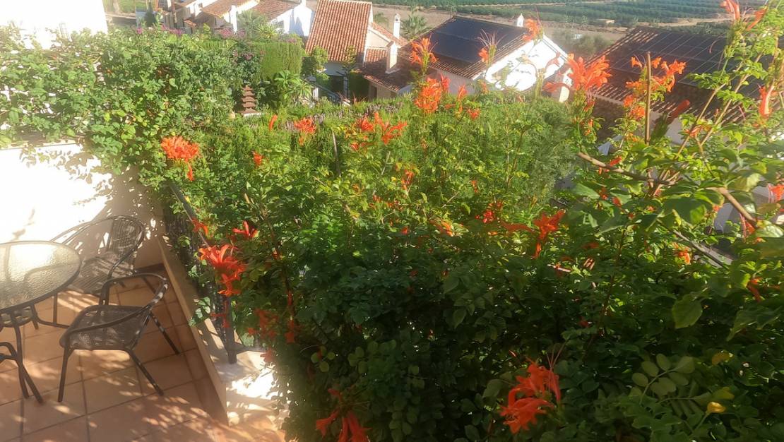 Sale - Villa - Algorfa - La finca golf