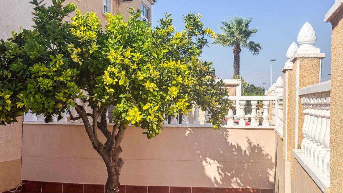 Sale - Villa - Alicante City - Parque de las Naciones