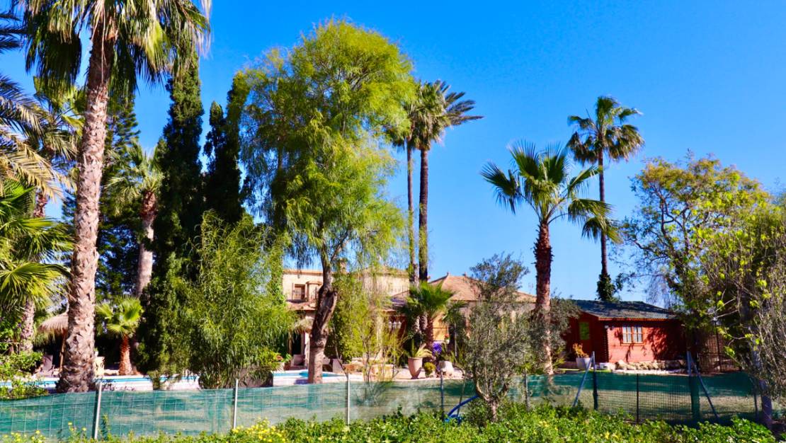 Sale - Villa - Almoradí - Heredades