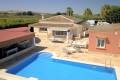 Sale - Villa - Almoradí - Heredades