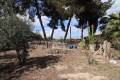 Sale - Villa - Almoradí - Heredades