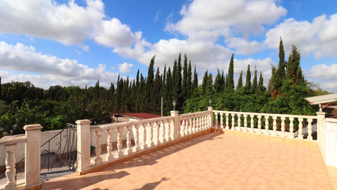 Sale - Villa - Almoradí - Heredades