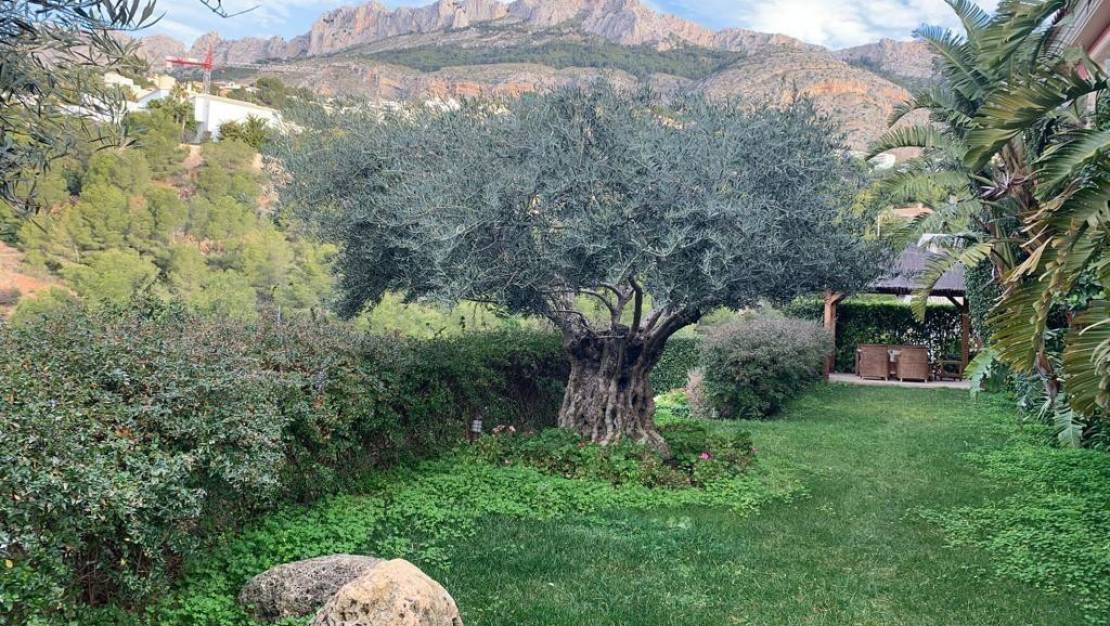 Sale - Villa - Altea - Altea Centro