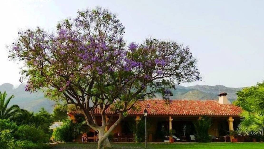 Sale - Villa - Altea - Altea Centro